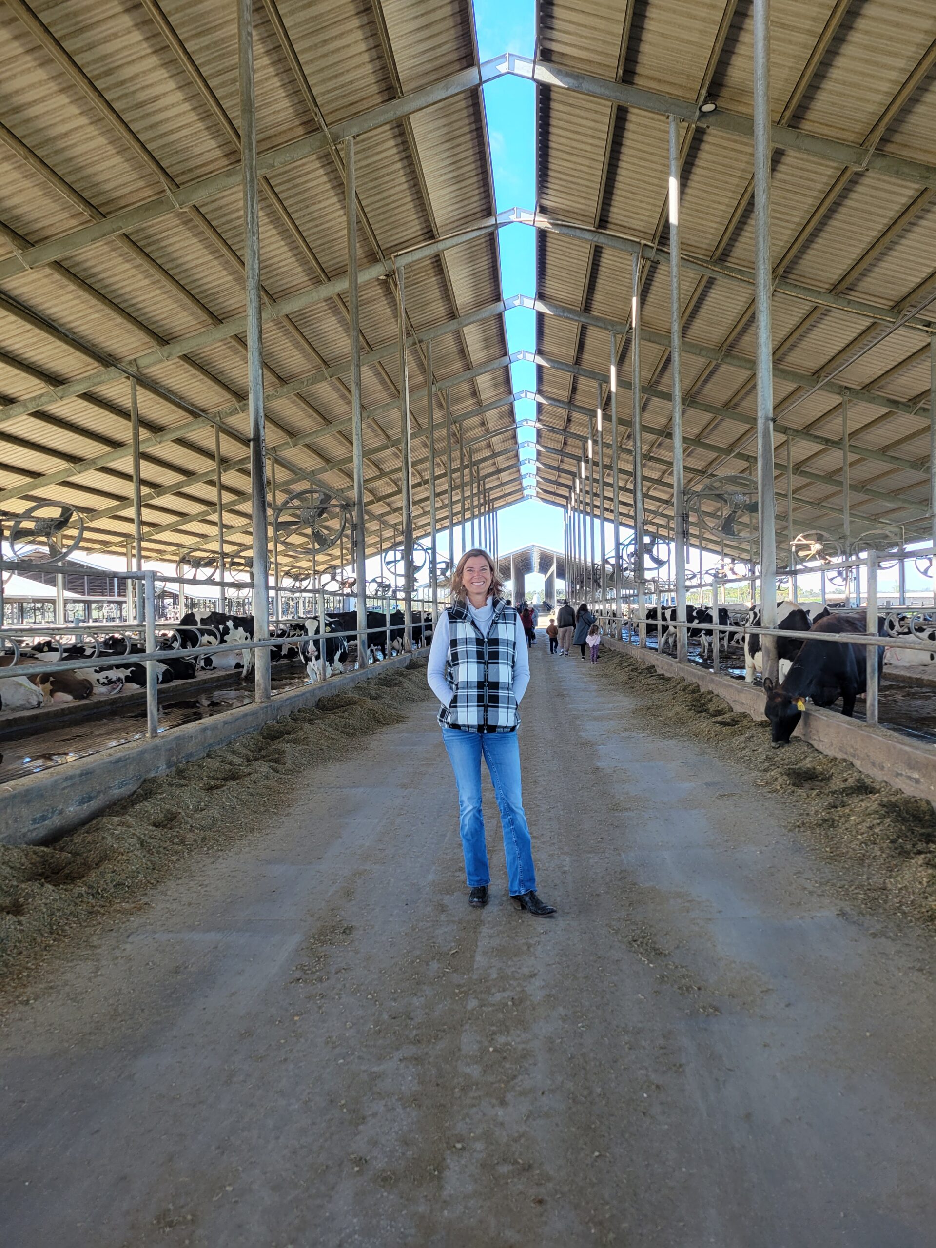 Florida Dairy Farm