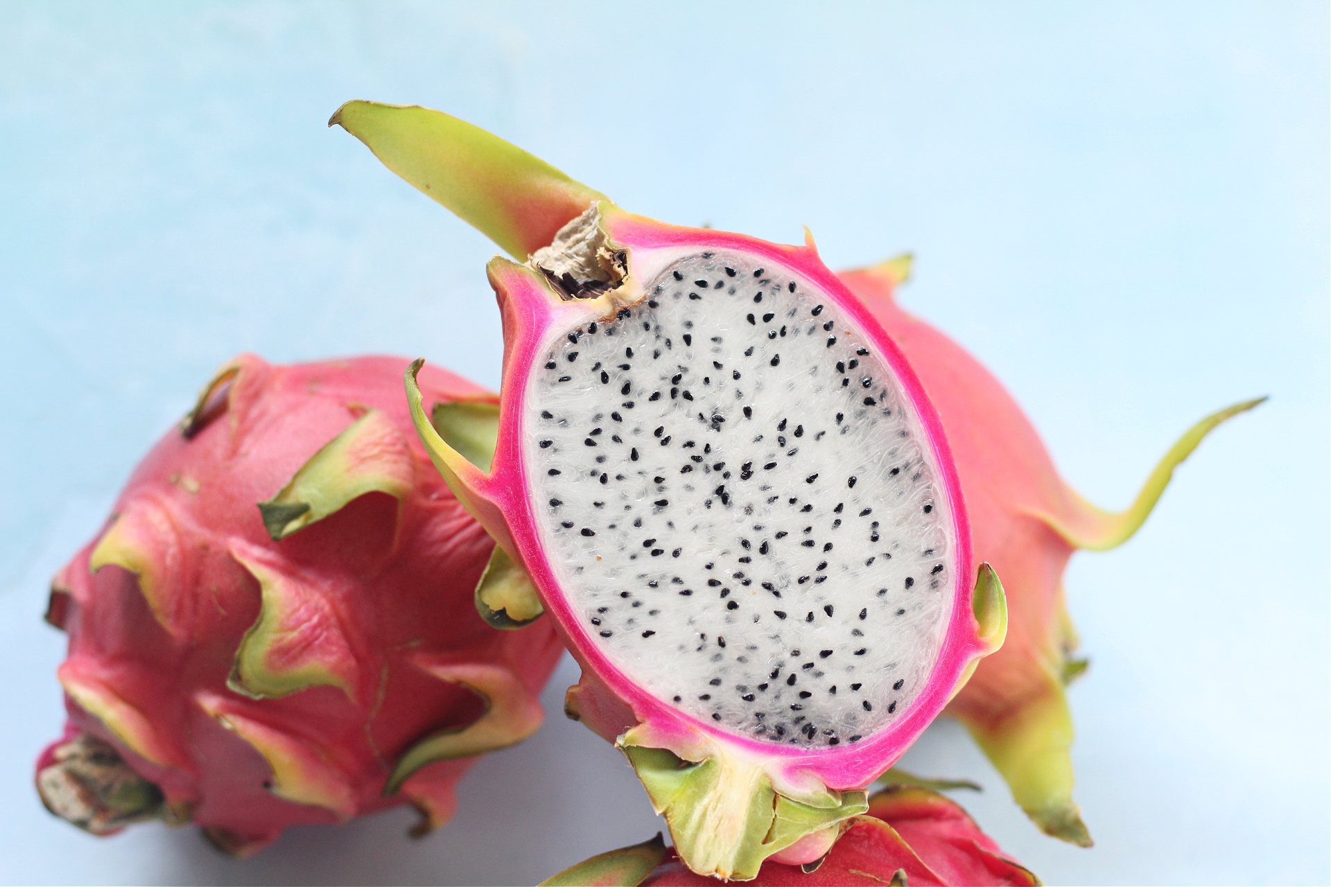 11 of The Best Dragon Fruit (Pitaya) Cultivars