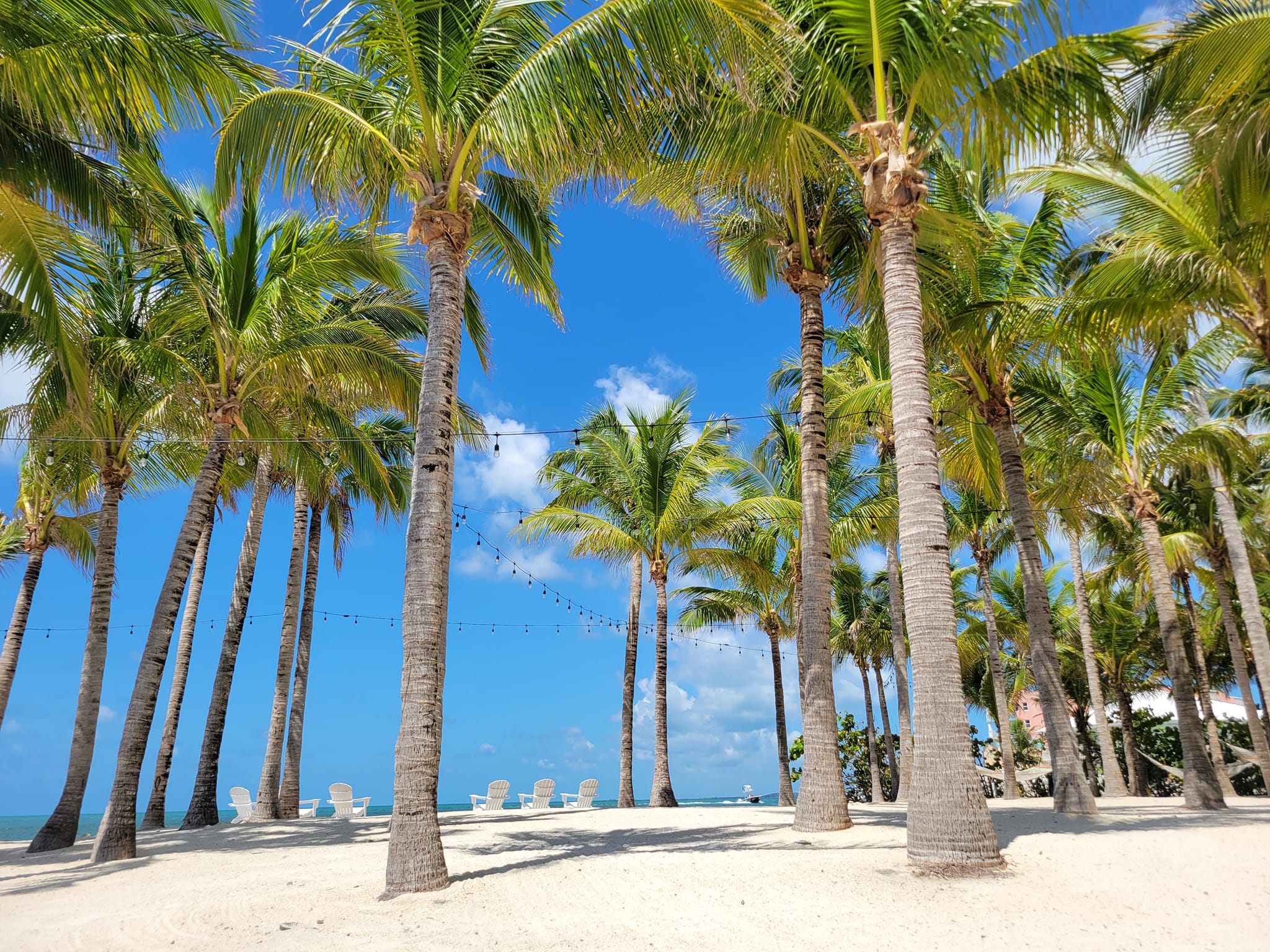 Why You Should Stay at Isla Bella Beach Resort on Marathon Key