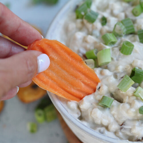 Caramelized Onion Dip