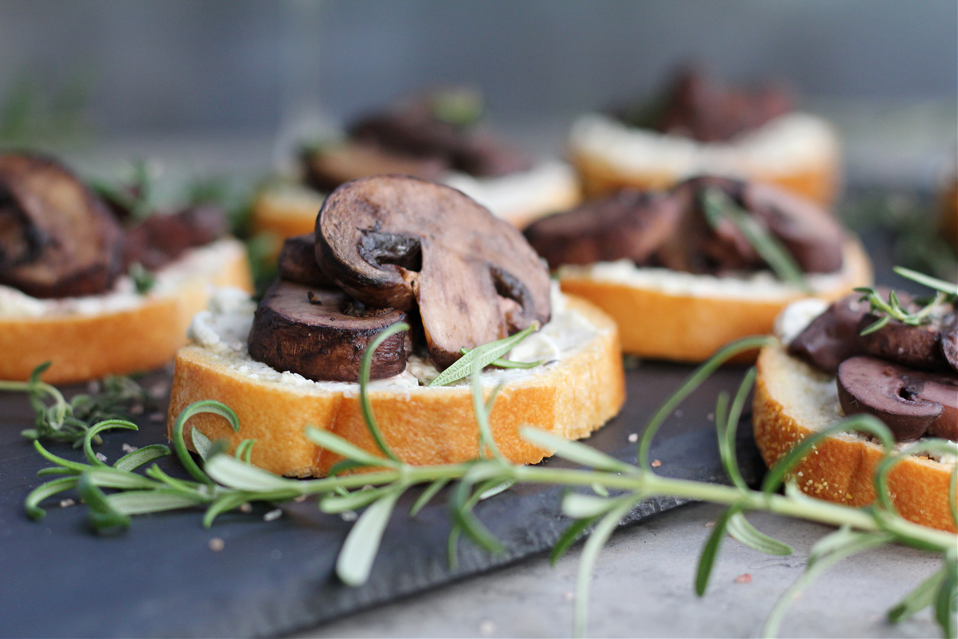 Red wine roasted mushroom crostini