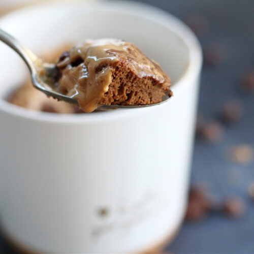 Protein PB Chocolate Mug Cake