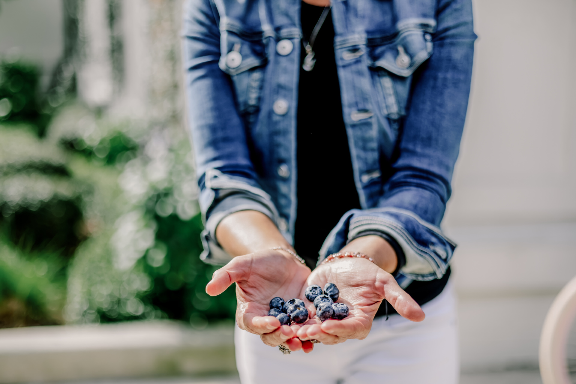 best Florida blueberries