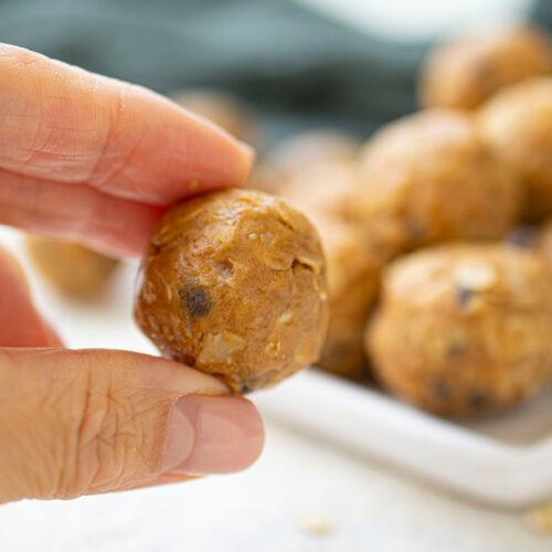 No Bake Pumpkin Protein Bites