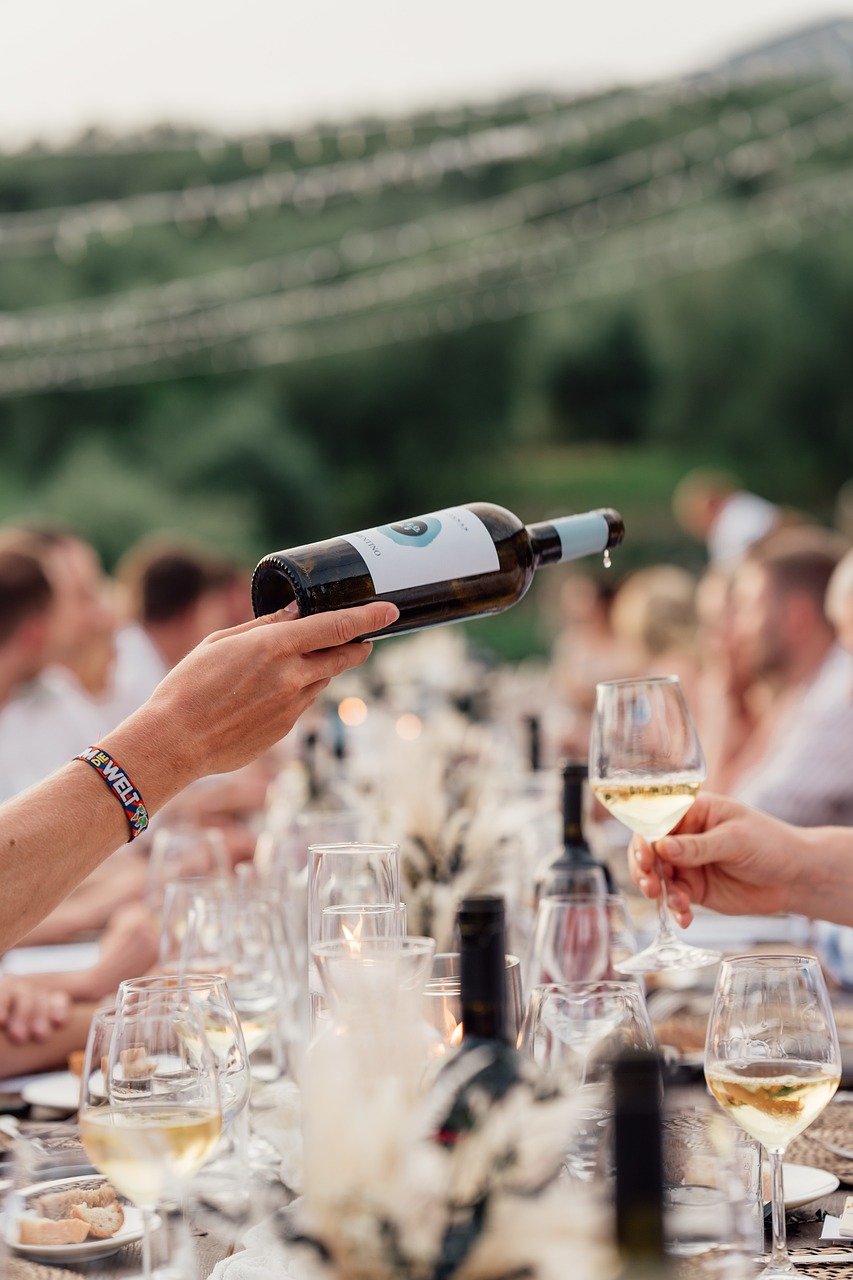 Best Wine Party Dinner Ideas