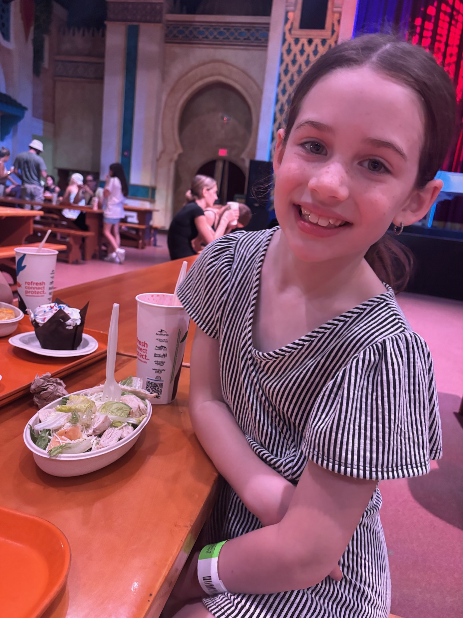 Busch Gardens Tampa Bay Family Adventure