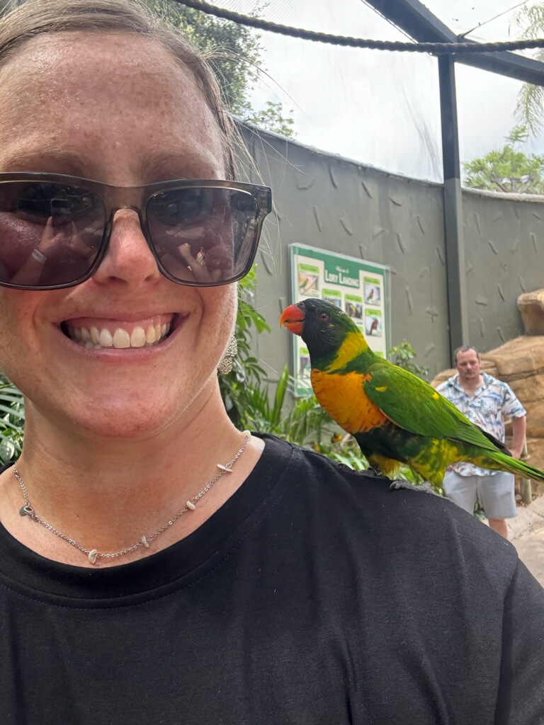 Busch Gardens Animal Encounters