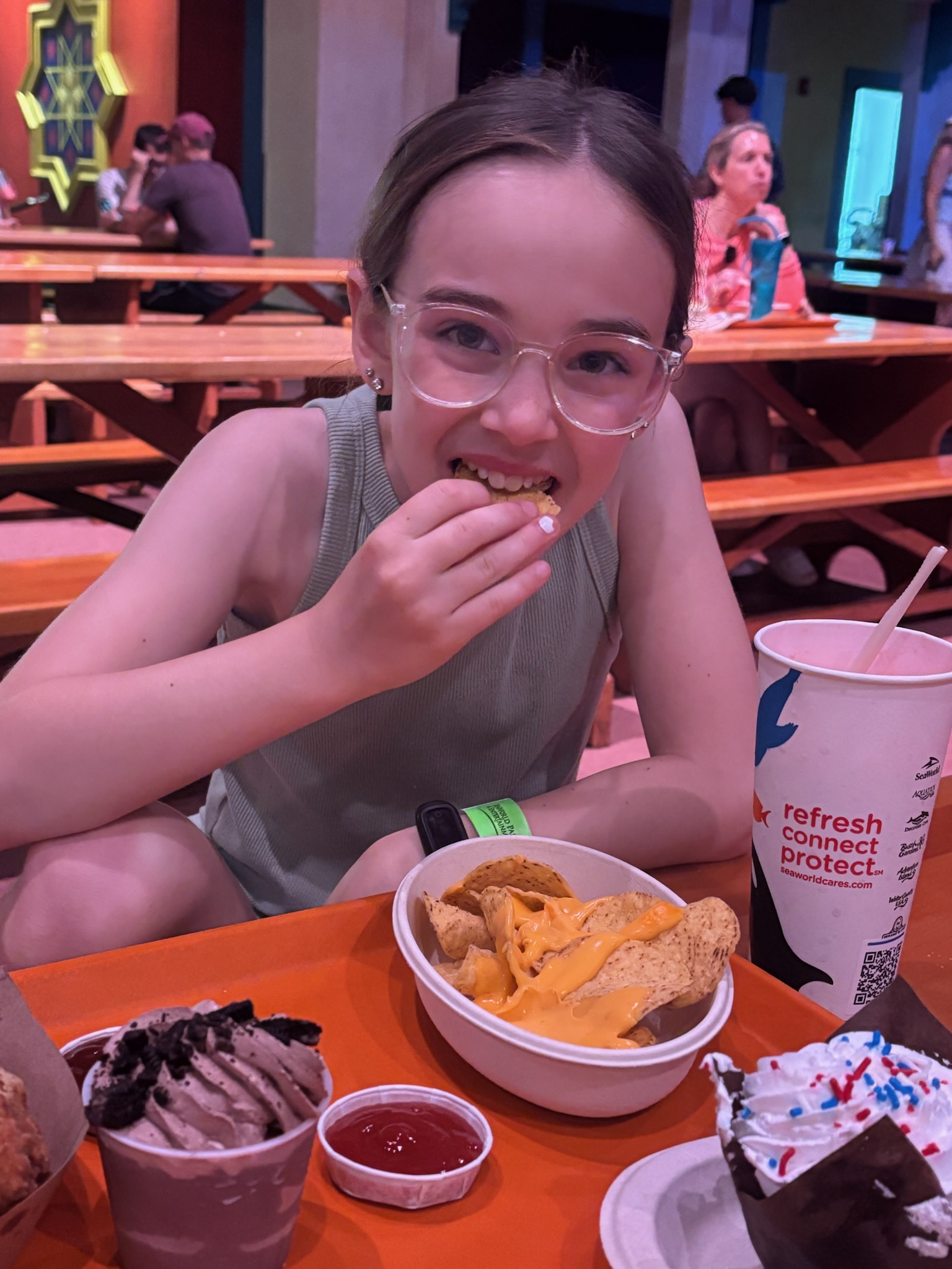 Busch Gardens Tampa Bay Family Fun 