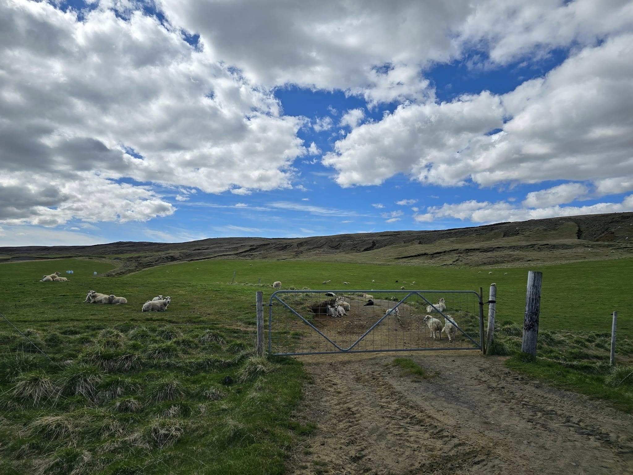 Farm land along the Golden Circle Tour in Iceland Farm land along the Golden Circle Tour in Iceland