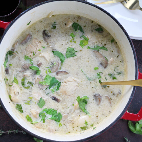 French-inspired chicken and mushroom fricassee with creamy sauce and fresh thyme