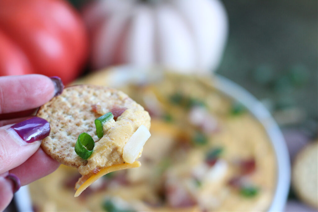 Savory pumpkin dip with bacon and cheese served on a crispy cracker