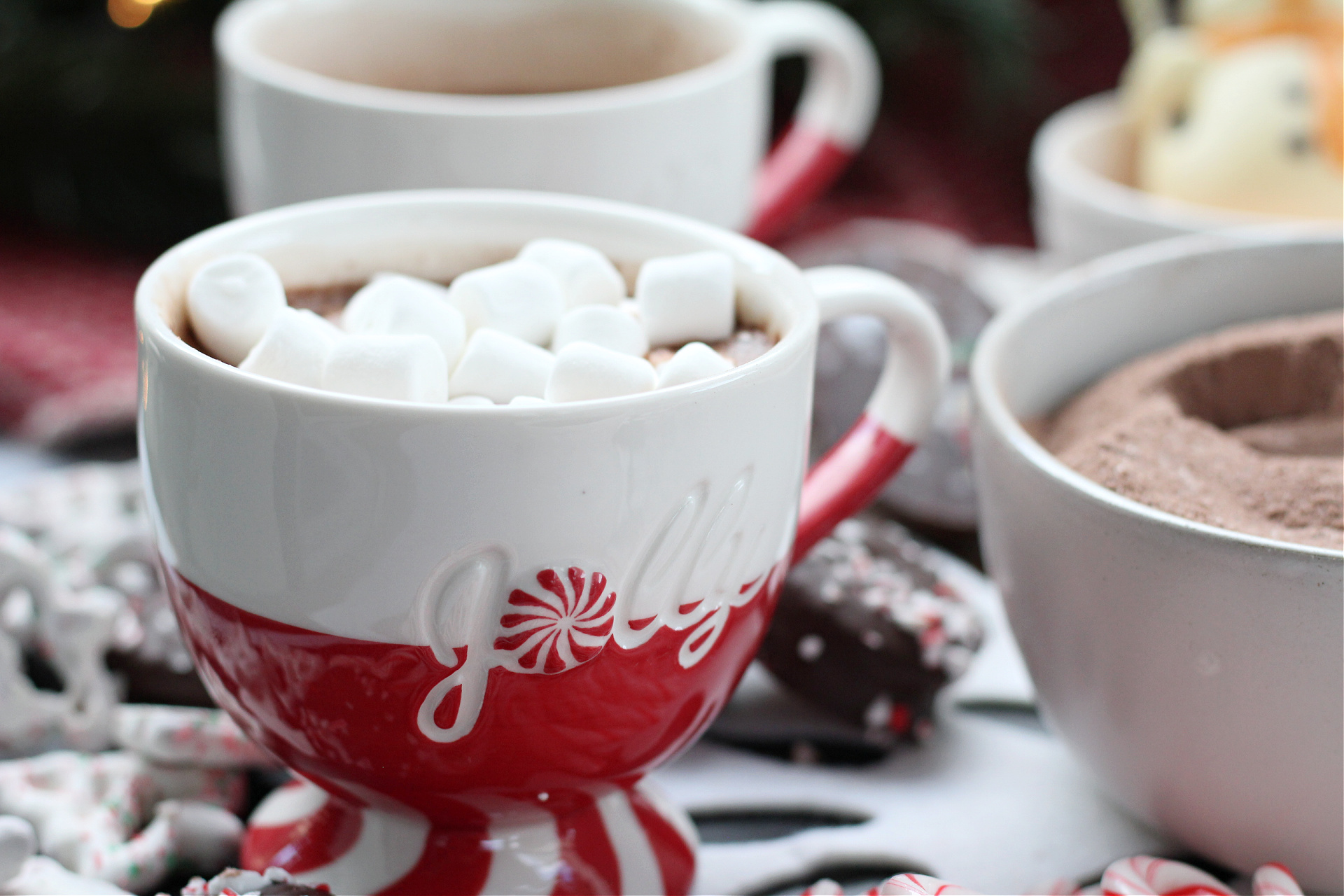 Festive peppermint hot cocoa board filled with marshmallows, chocolate pieces, candy canes, and holiday treats arranged neatly on a serving tray.