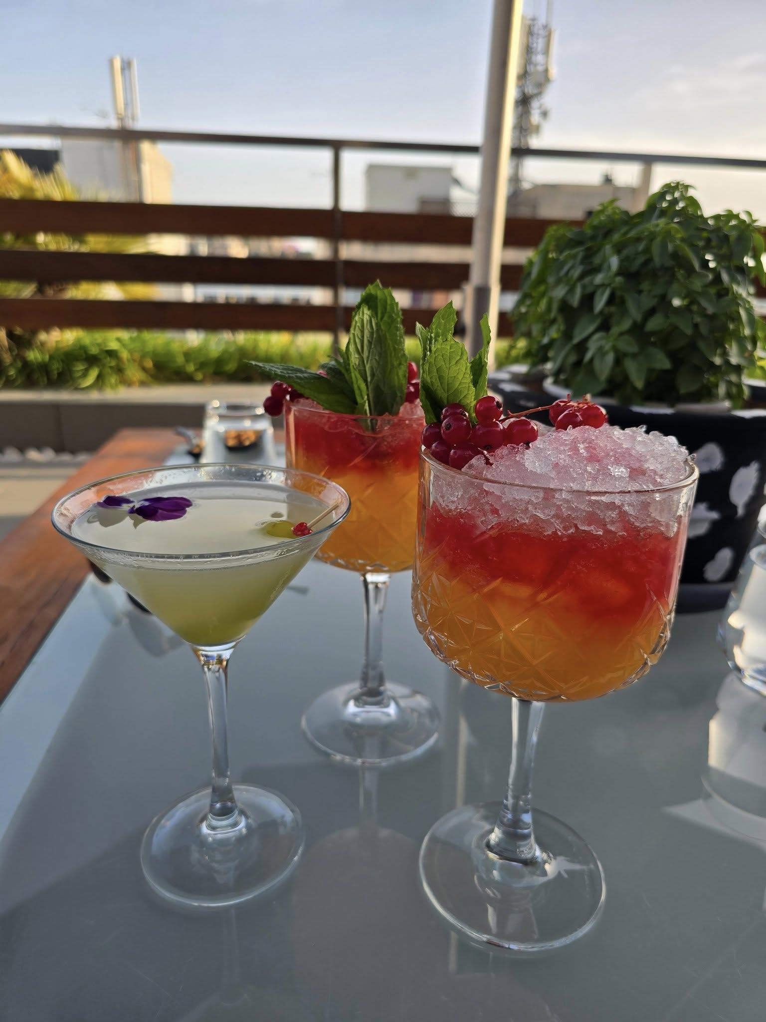 Drinks on rooftop bar in Athens Greece
