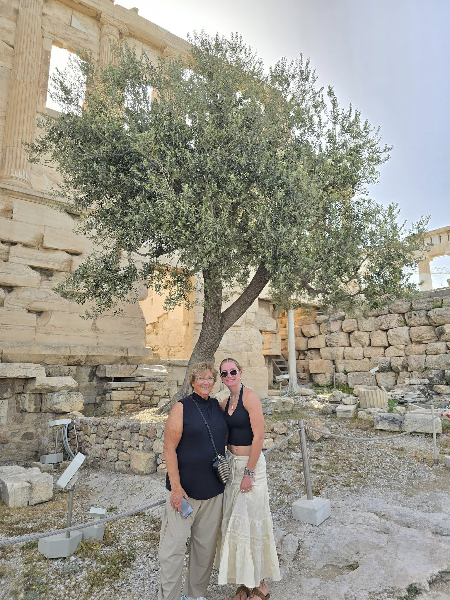 Traveling in Athens Greece at the Acropolis with historic olive tree