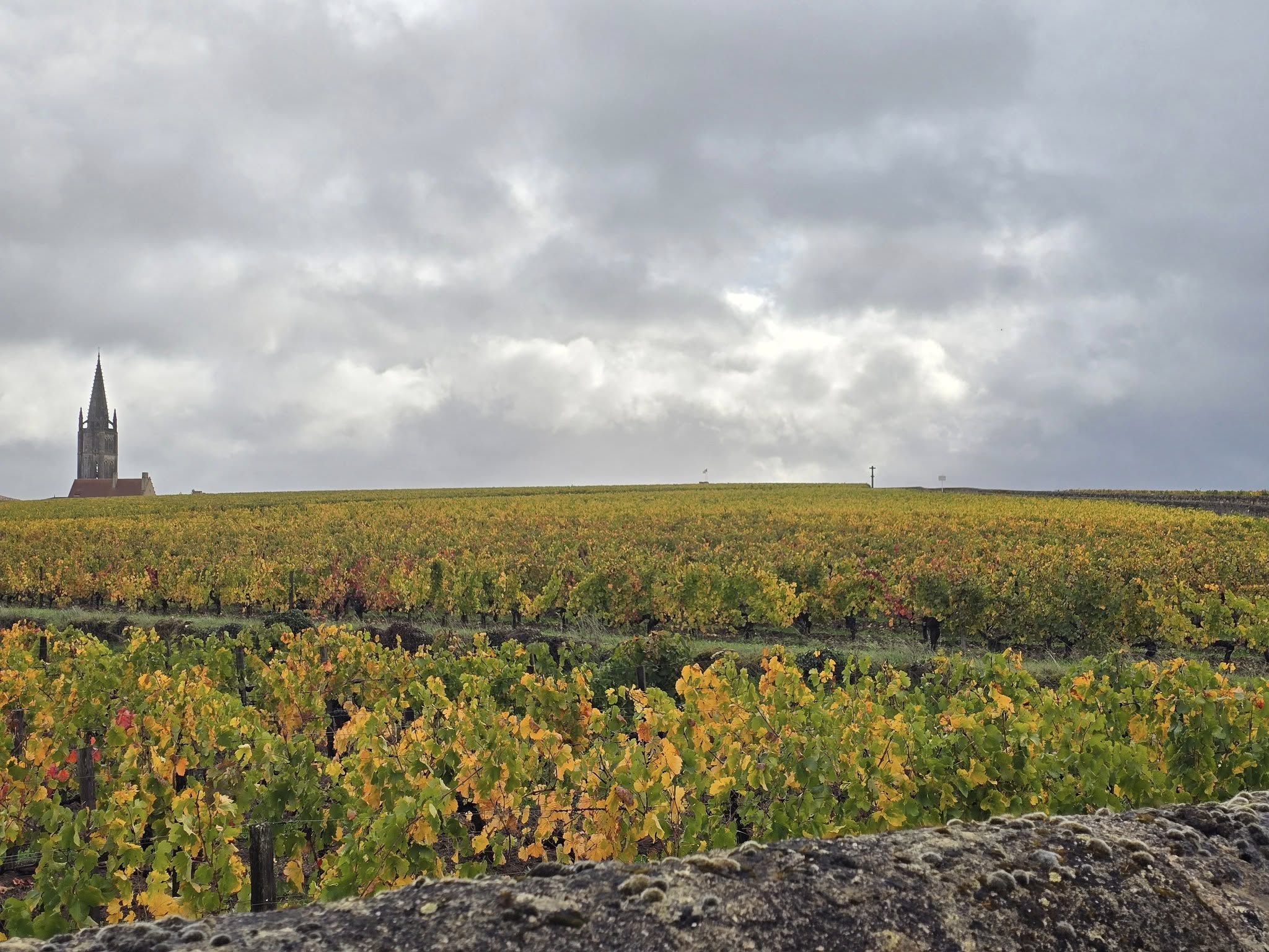 French countryside and vineyard views in Bordeaux
