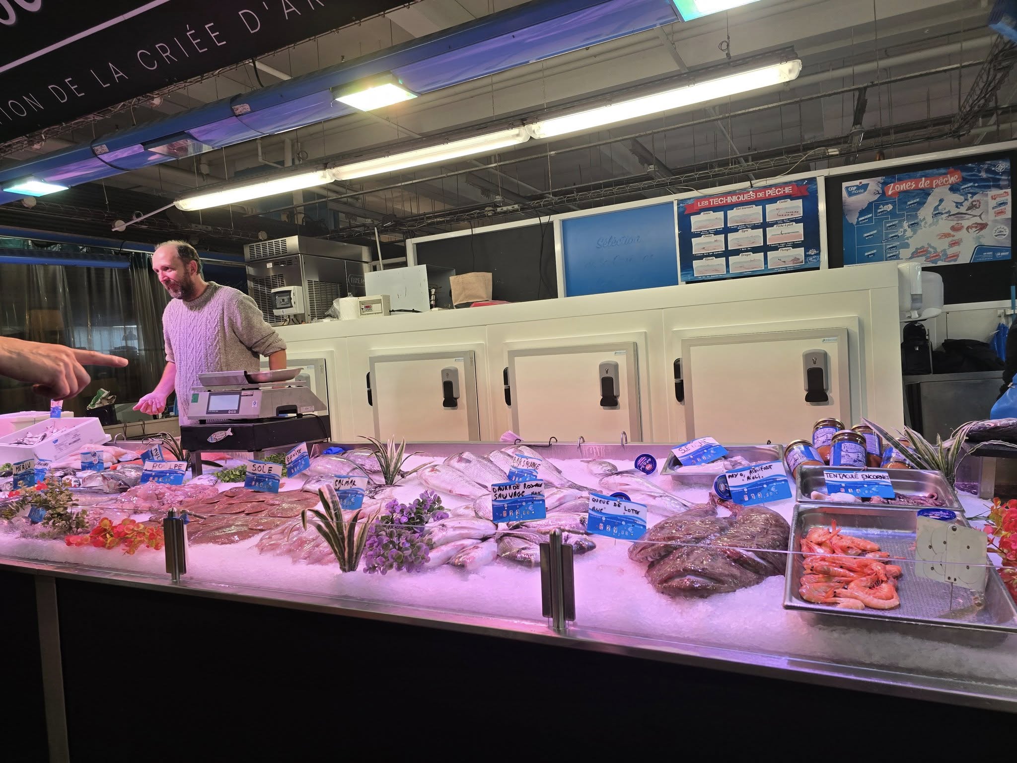 March&eacute; des Capucins Bordeaux local market with fresh seafood