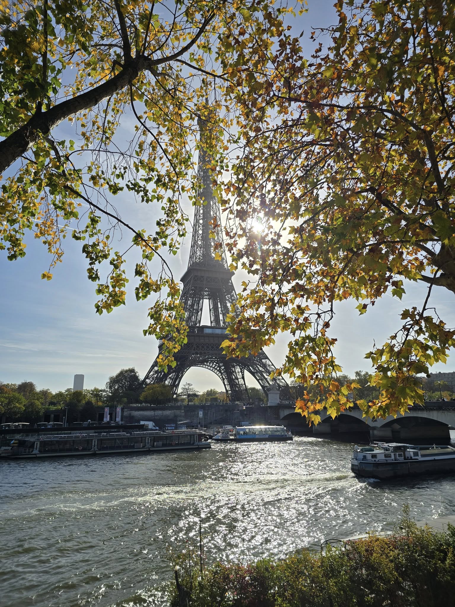 Seine River with Eiffel Tower views in Paris