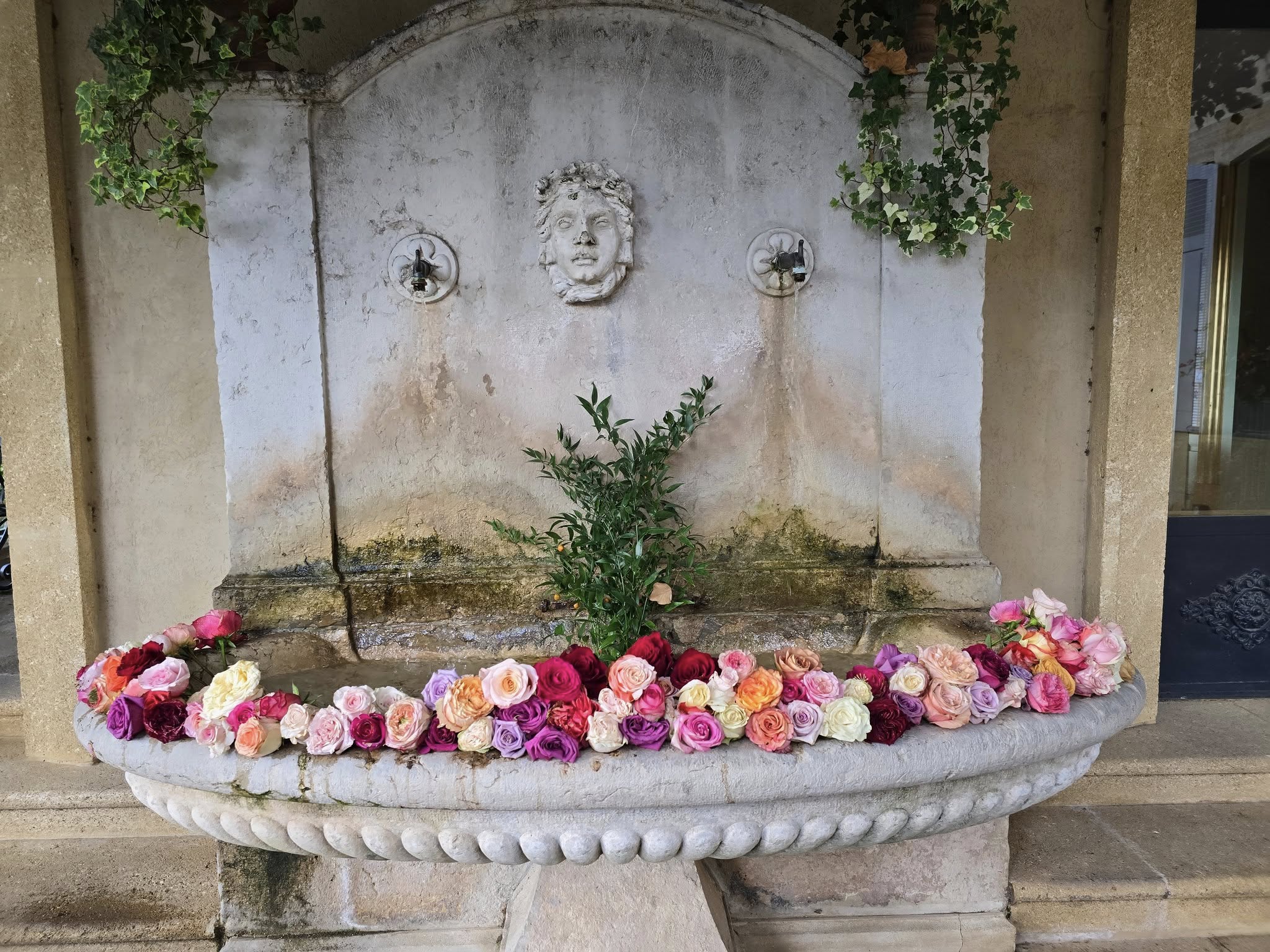 Villa Gallici Hotel and Spa Aix-en-Provence roses