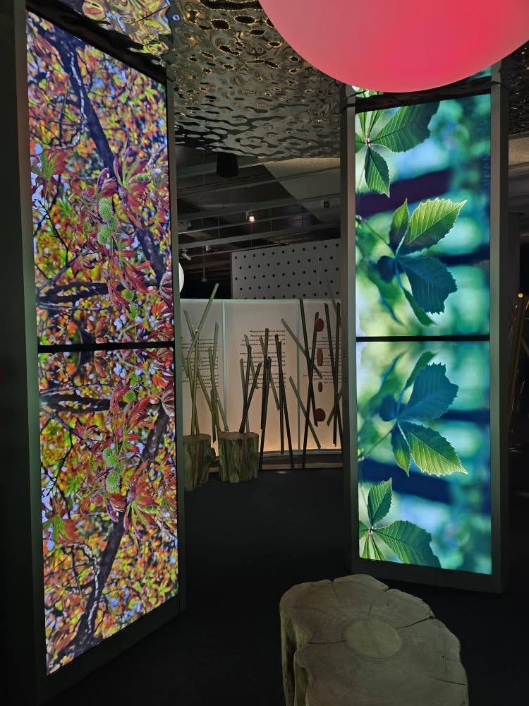 interactive wine exhibits inside La Cit&eacute; du Vin