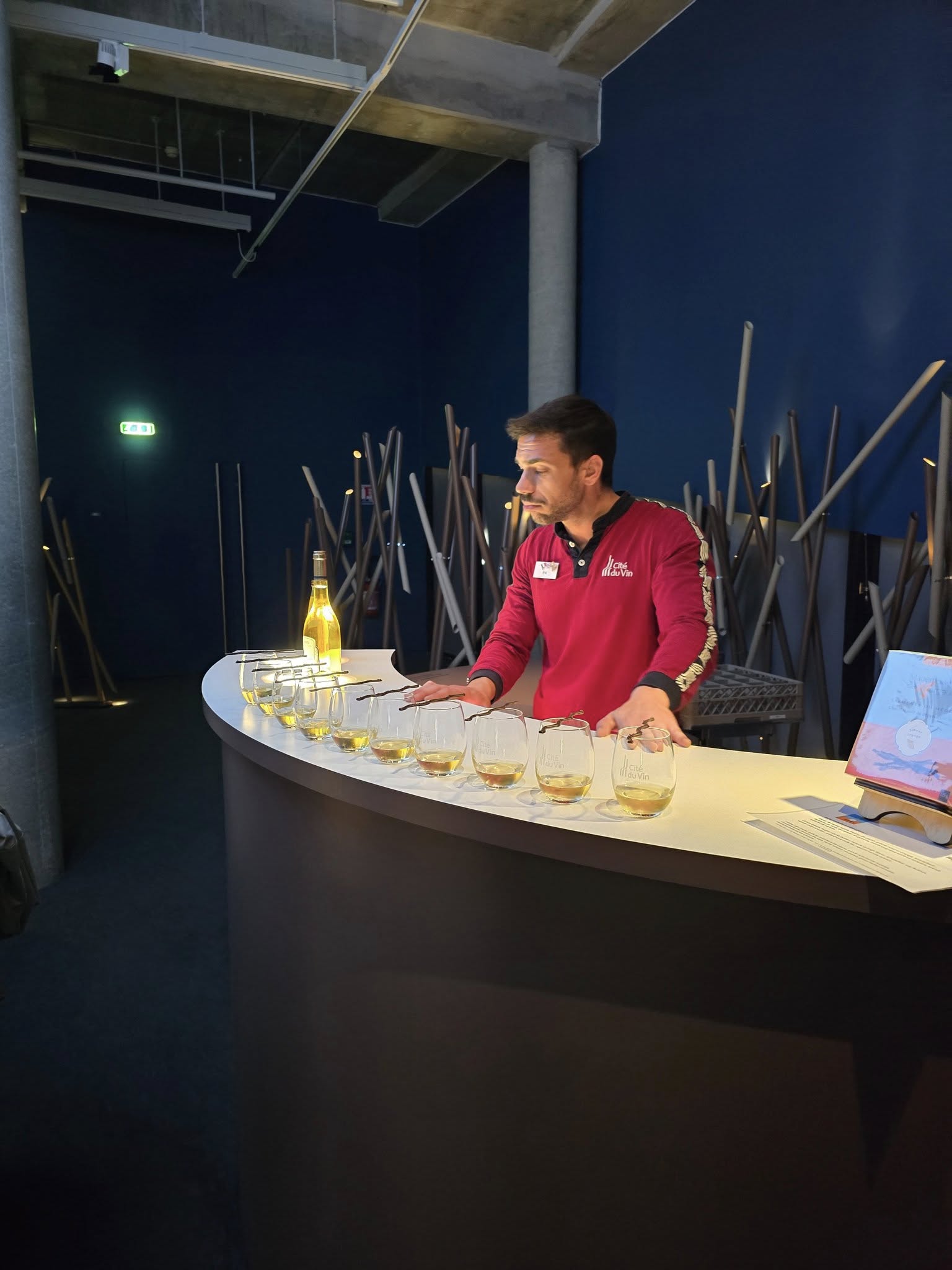 wine tasting experience at Bordeaux wine museum