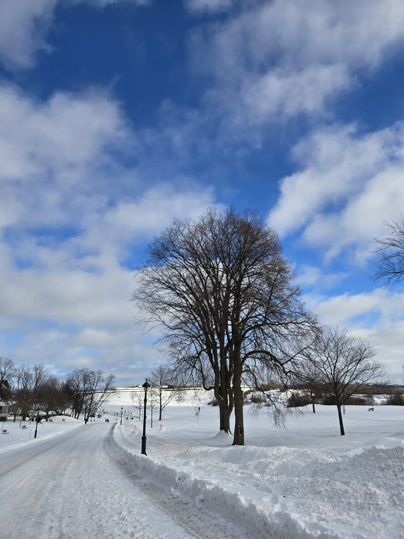 Winter landscape in Quebec City